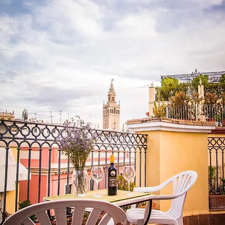 Alohamundi Harinas * Sevilla